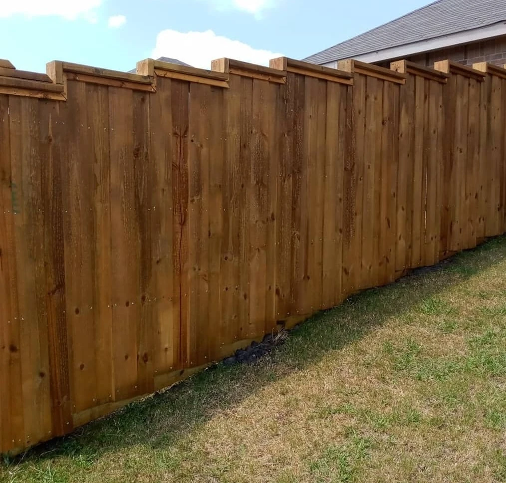 Deck and Fences